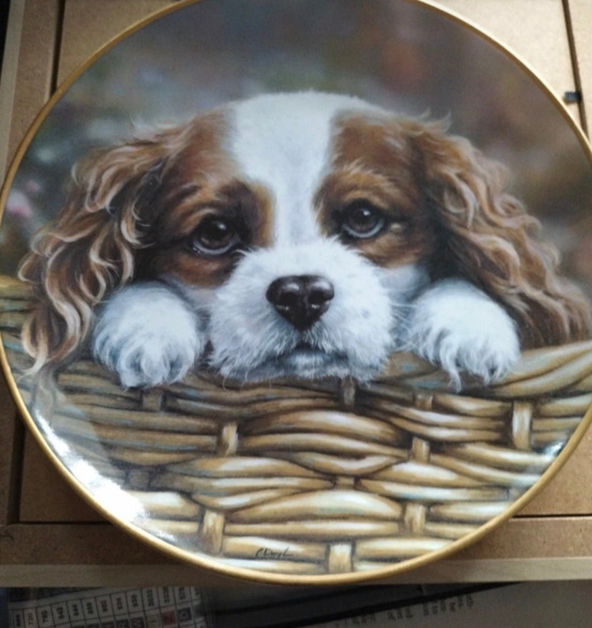 Display Plates