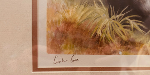 Caroline Cook Limited Edition Badger Wildlife Print Signed 06/250 Framed Country Art