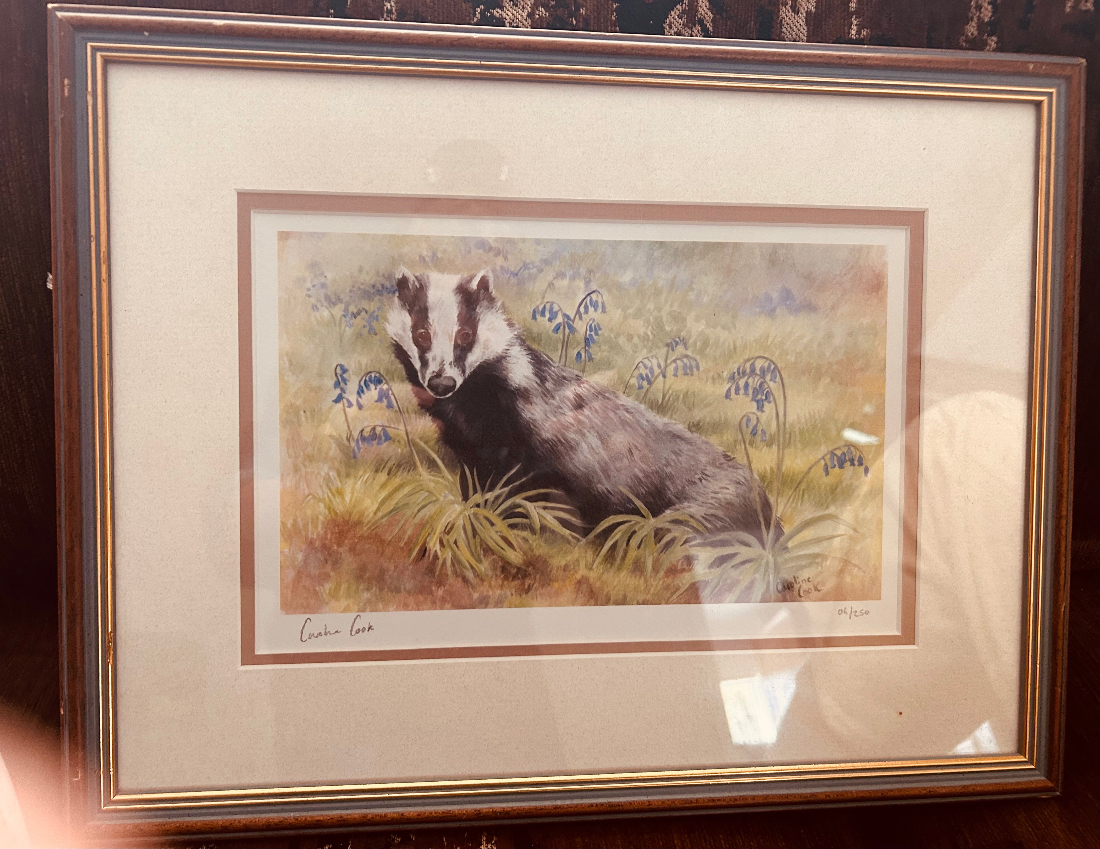 Caroline Cook Limited Edition Badger Wildlife Print Signed 06/250 Framed Country Art
