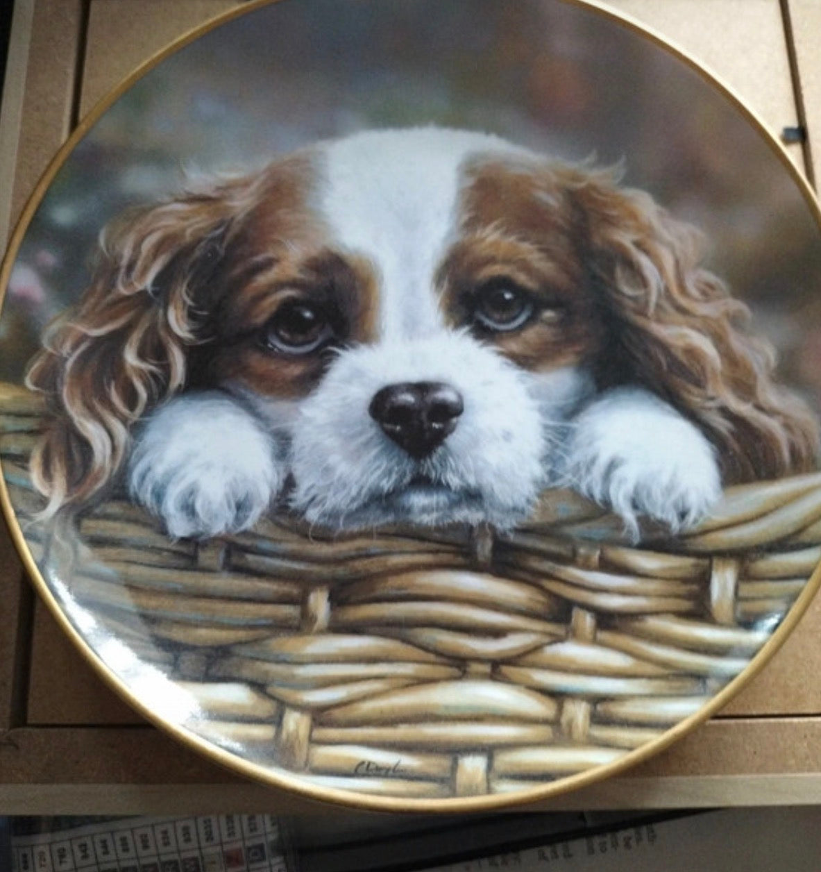 Vintage Cavalier King Charles Spaniel Puppy Decorative Plate Gold Rim Dog Collectable