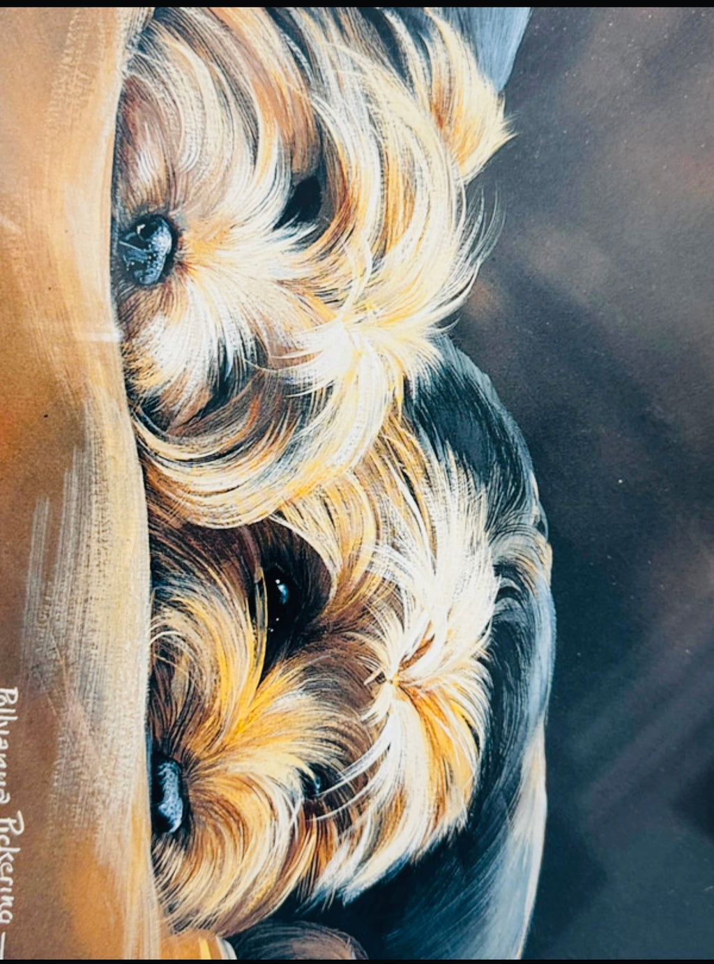 Yorkies by Pollyanna Pickering