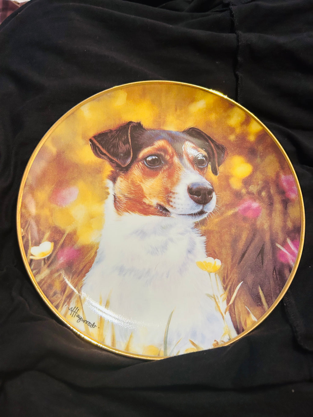 Danbury Mint Field of Gold Mandie Haywood Jack Russell Porcelain Collector Plate 22ct Gold