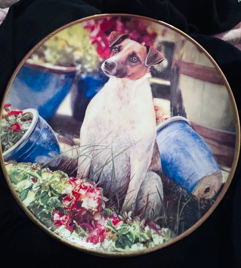 Danbury Mint Jack Pot Mandie Haywood Jack Russell Porcelain Collector Plate 22ct Gold