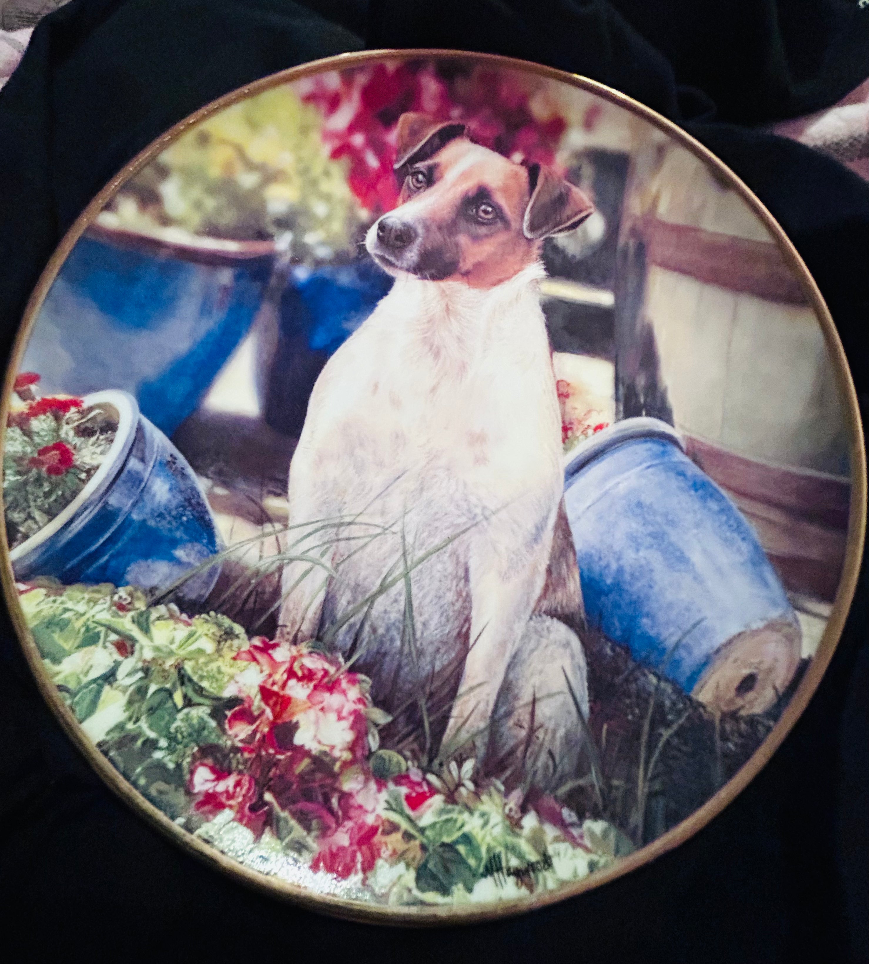 Danbury Mint Jack Pot Mandie Haywood Jack Russell Porcelain Collector Plate 22ct Gold