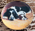 Nigel Hemming Lazy Days Springer Spaniel Dog Franklin Mint Limited Edition Plate