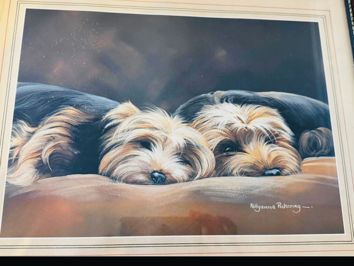 Yorkies by Pollyanna Pickering