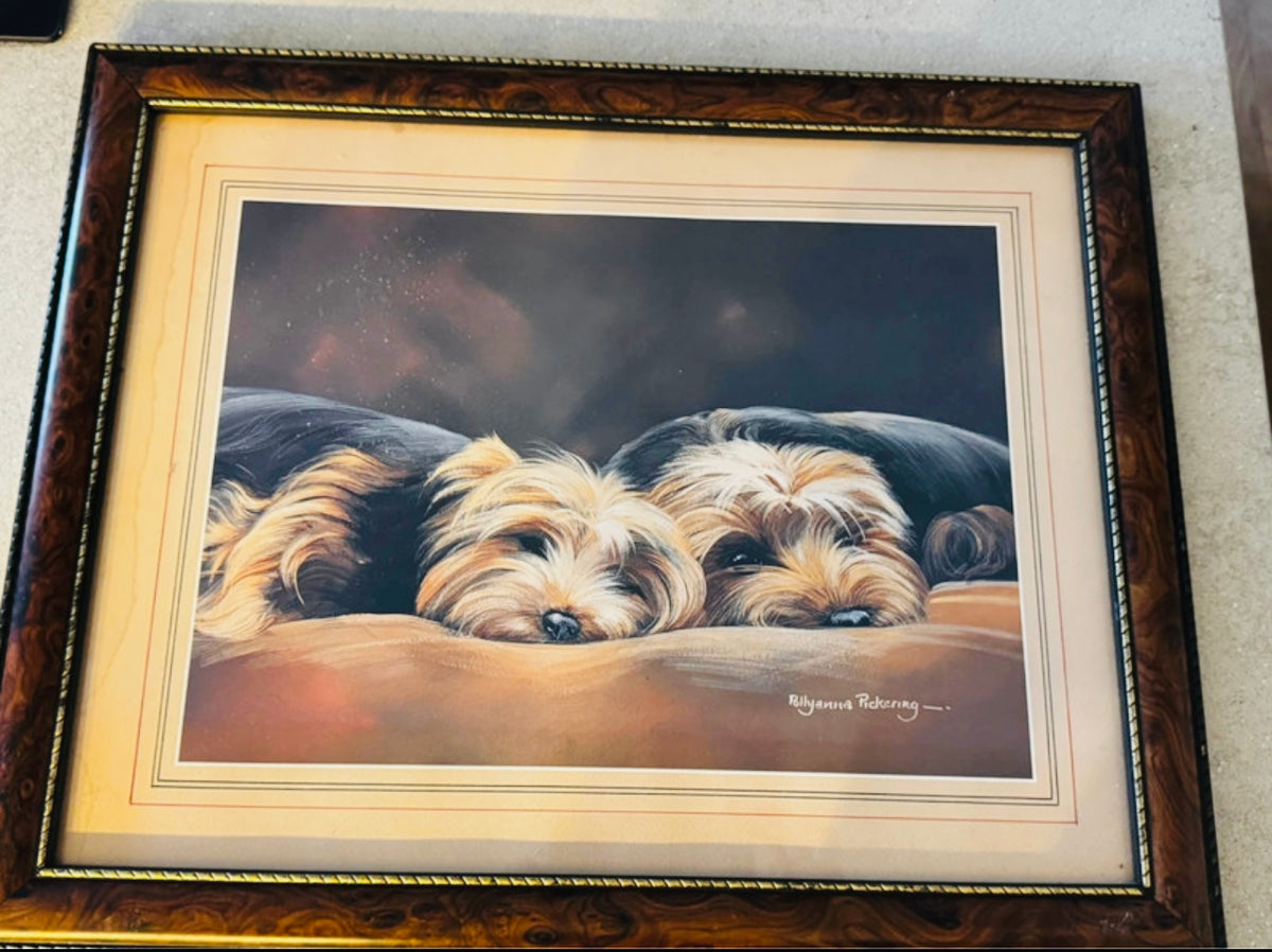 Yorkies by Pollyanna Pickering