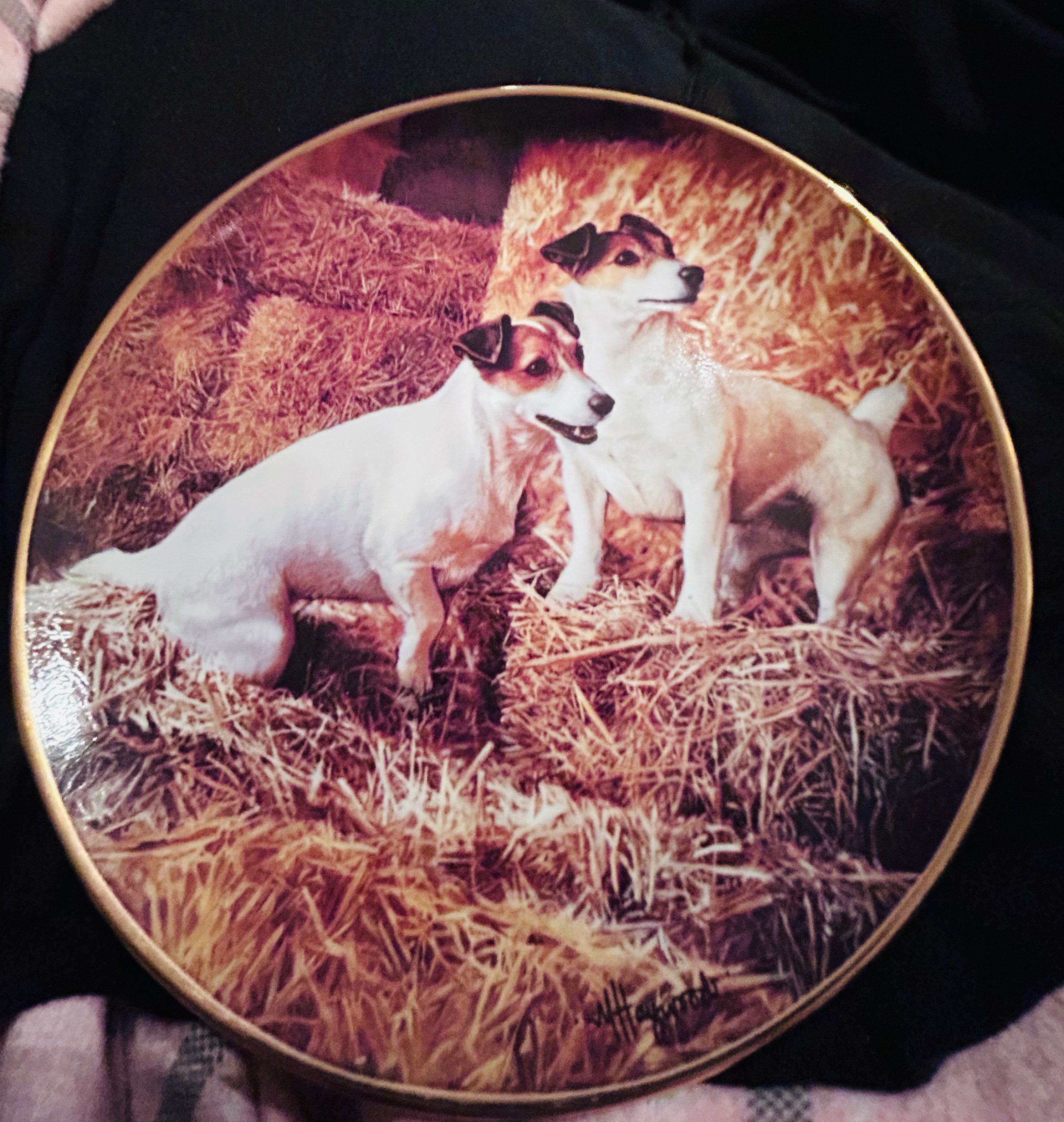 Danbury Mint In the Hay Mandie Haywood Jack Russell Porcelain Collector Plate 22ct Gold