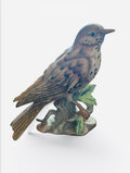 Vintage Maruri Mistle Thrush Bird Figurine Marks & Rosenfeld Ceramic