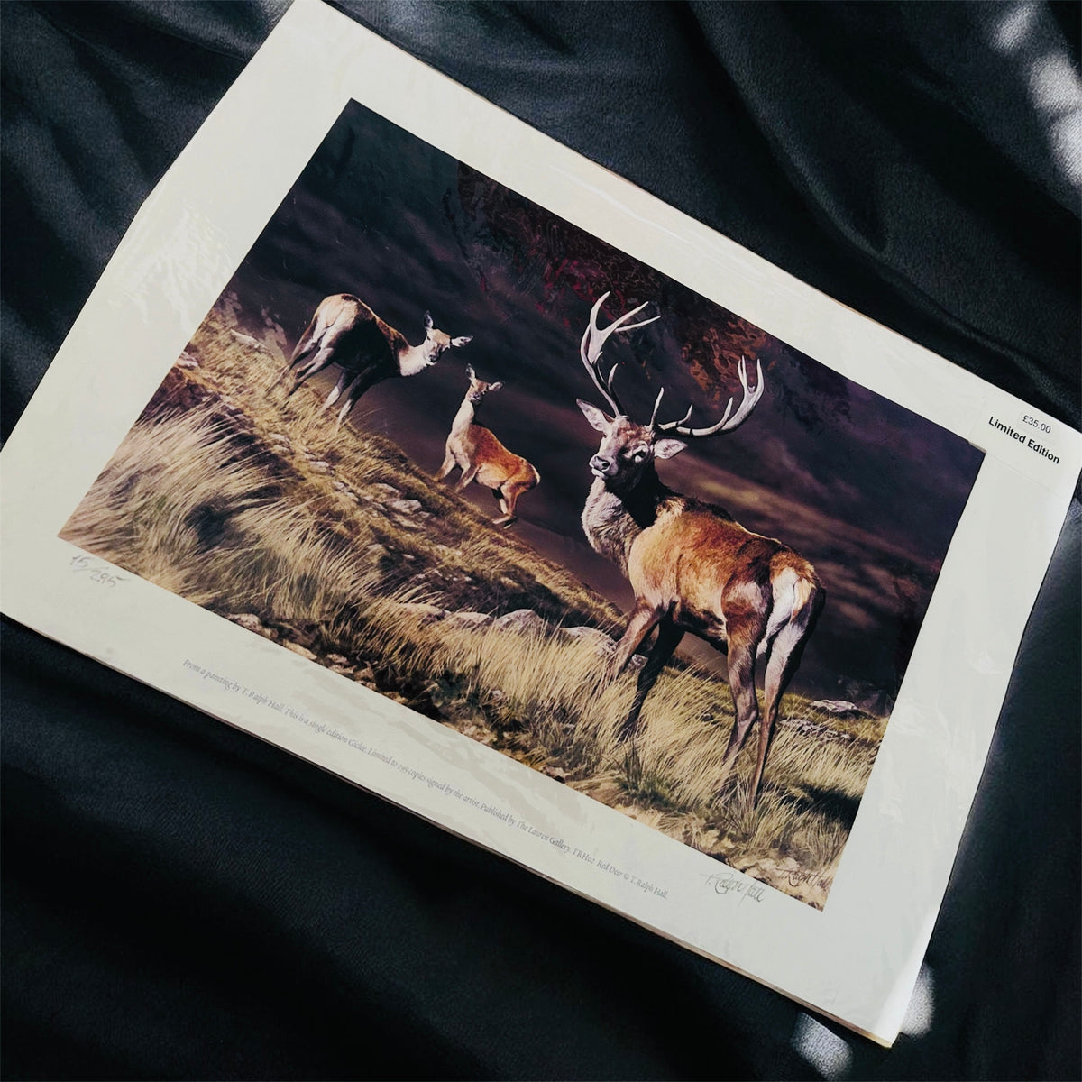 T Ralph Hiley Signed Limited Edition Red Deer Stag Print 17/295 Sporting Art