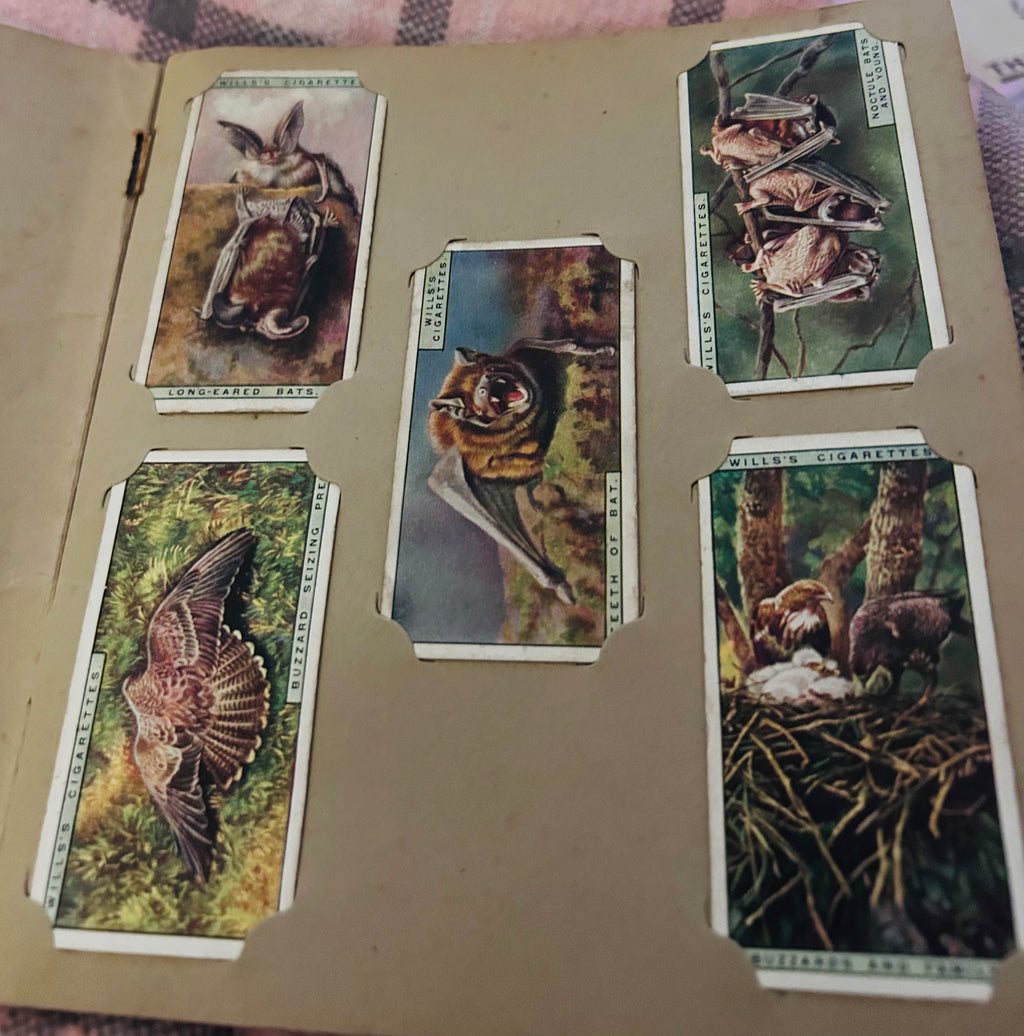 1925 Wills Life in the Tree Tops Cigarette Card Album Complete 50 Card Set Vintage
