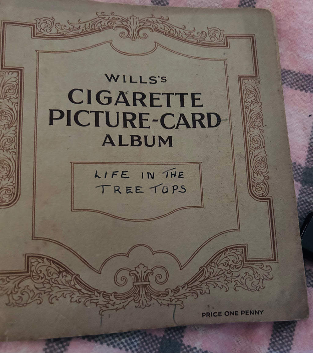 1925 Wills Life in the Tree Tops Cigarette Card Album Complete 50 Card Set Vintage