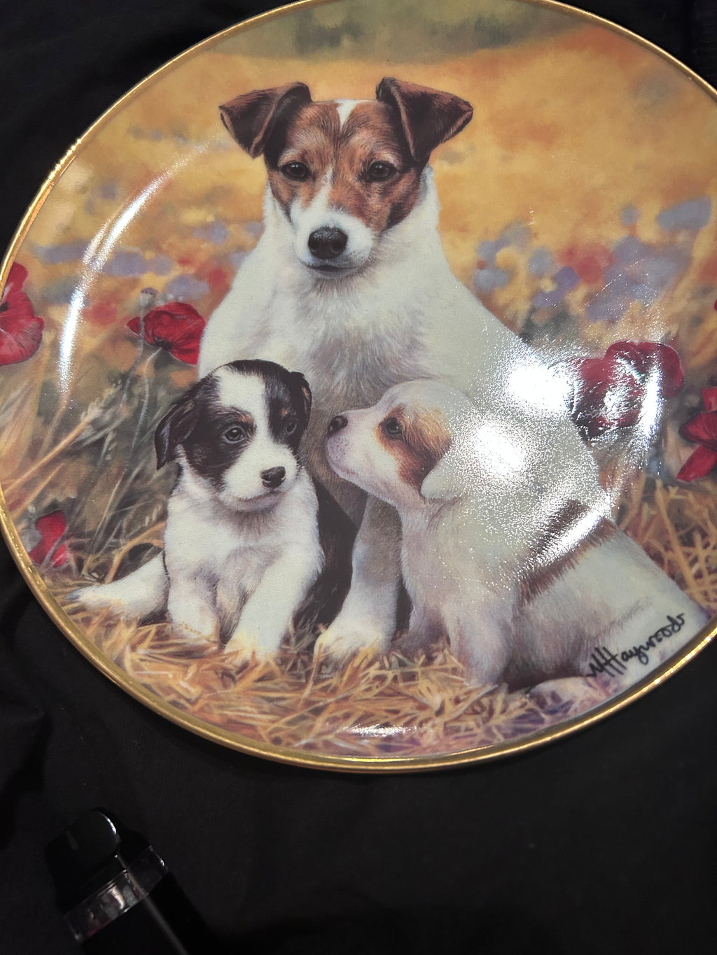 Danbury Mint Puppies & Poppies Mandie Haywood Jack Russell Porcelain Plate 22ct Gold