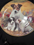 Danbury Mint Puppies & Poppies Mandie Haywood Jack Russell Porcelain Plate 22ct Gold