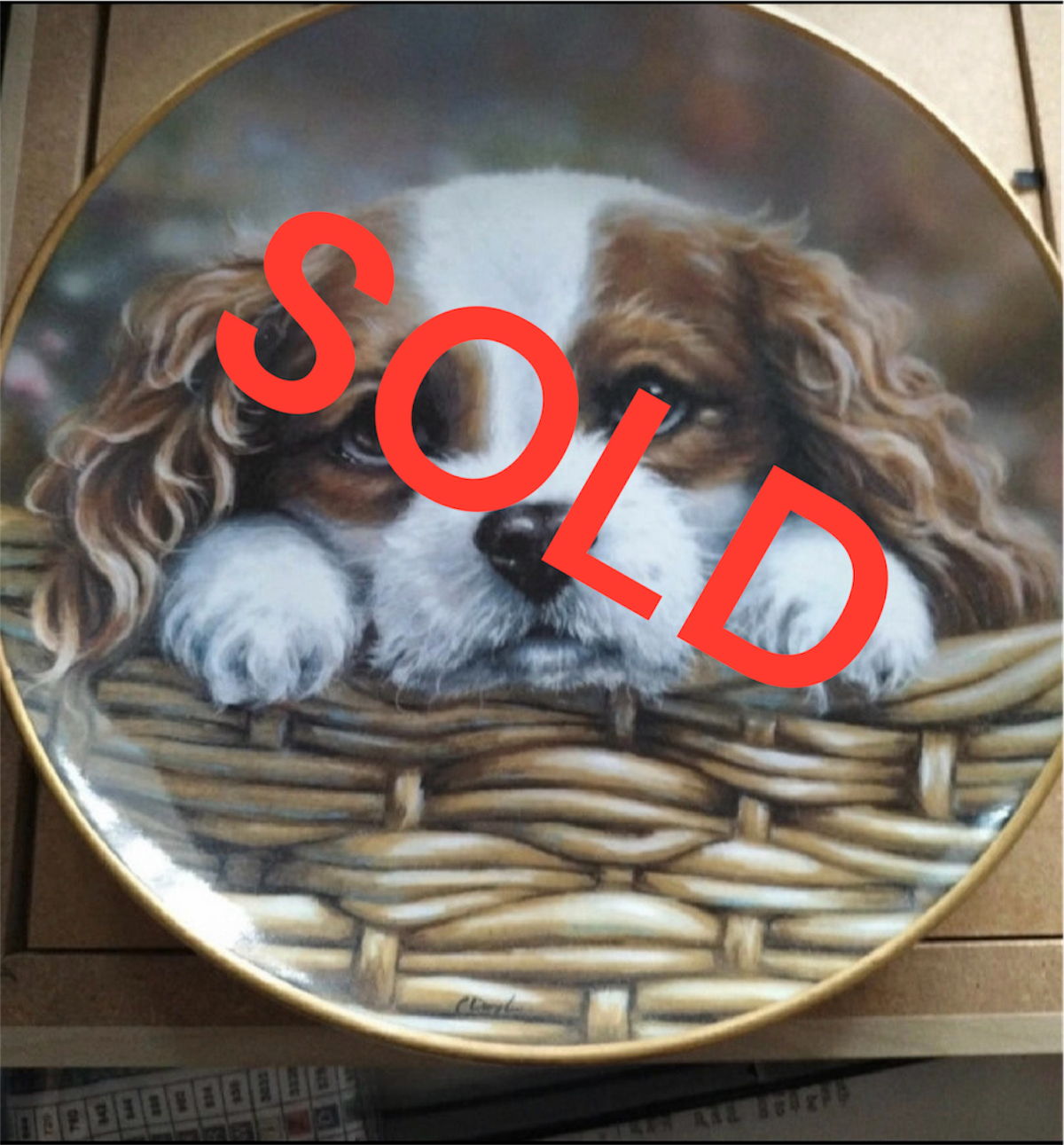 Vintage Cavalier King Charles Spaniel Puppy Decorative Plate Gold Rim Dog Collectable