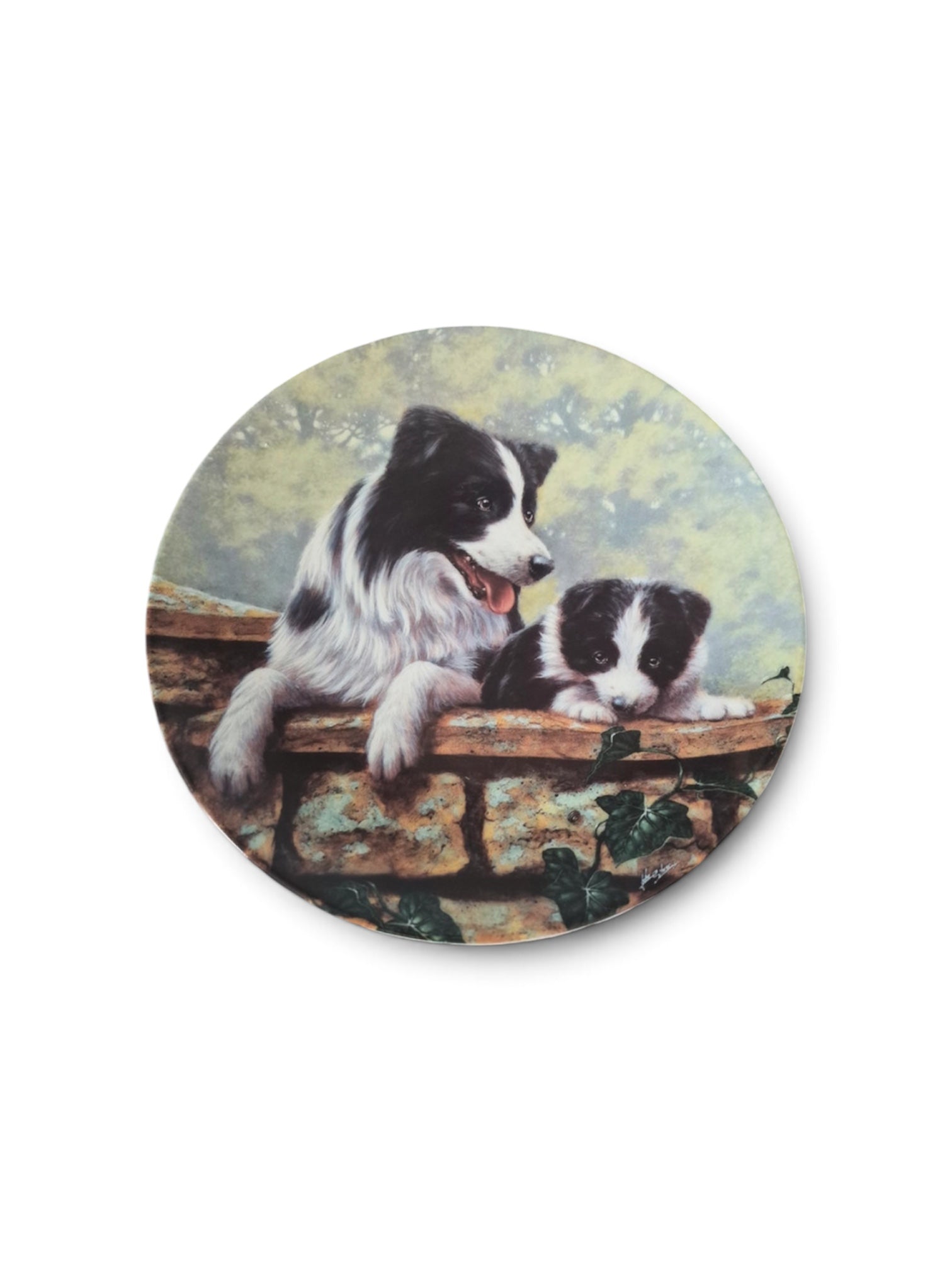 Royal Worcester That’s My Boy Border Collie John Silver Collectors Plate