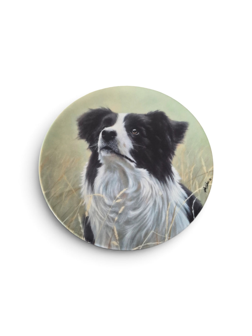 Royal Worcester Yours Faithfully Border Collie John Silver Collectors Plate