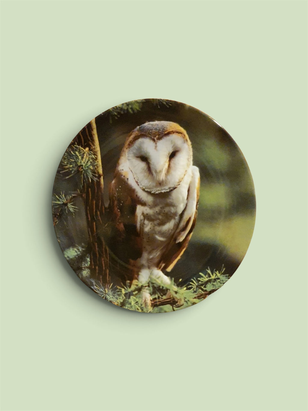 Wedgwood Michael Leach Barn Owl Limited Edition Fine Bone China Collector Plate