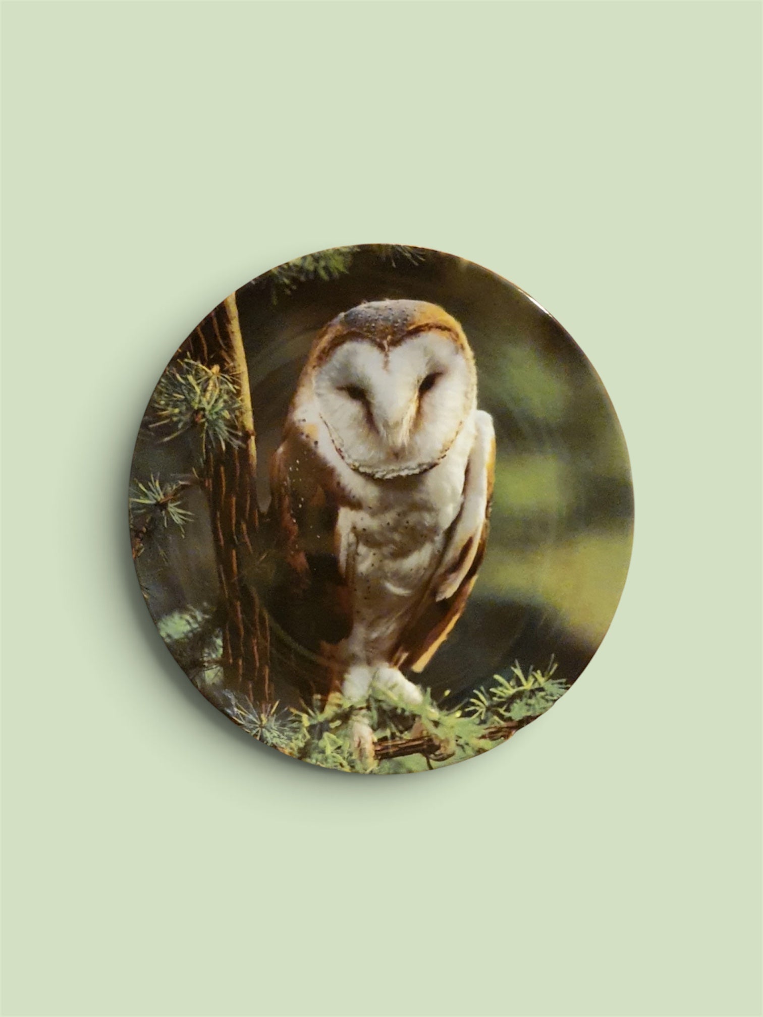 Wedgwood Michael Leach Barn Owl Limited Edition Fine Bone China Collector Plate