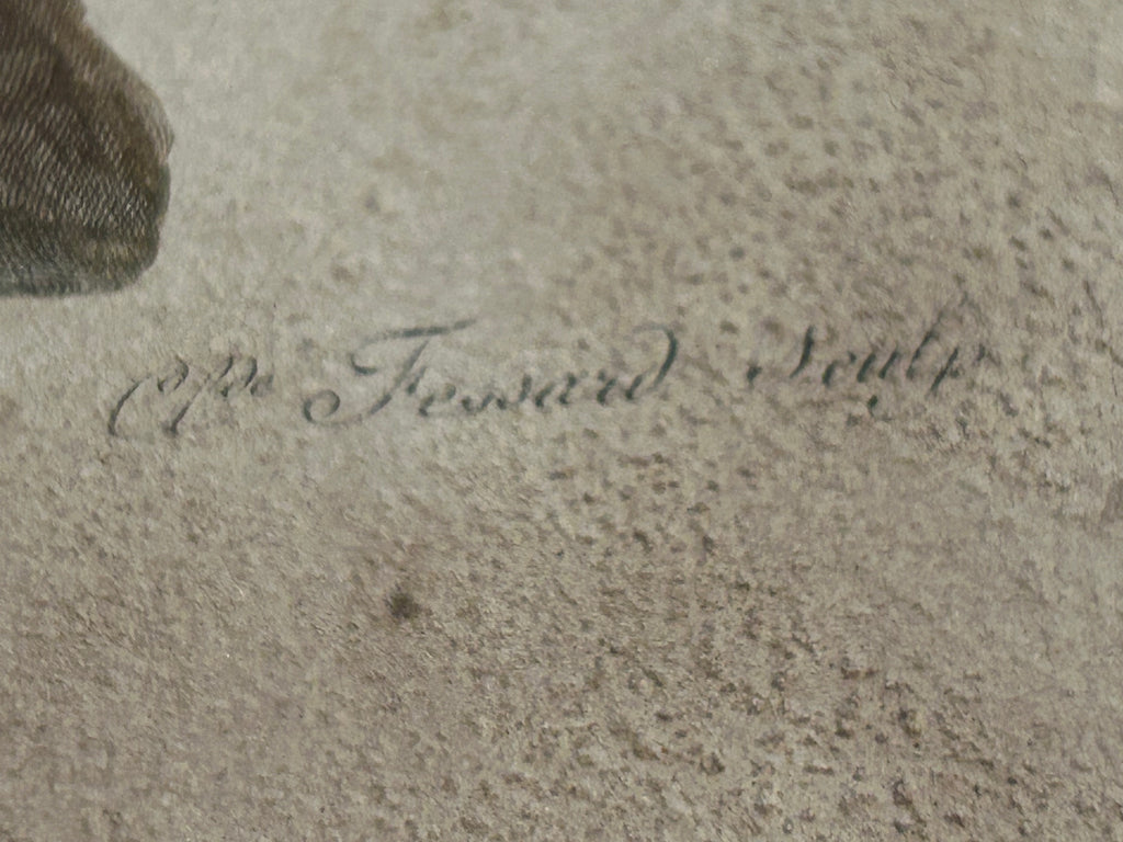 François Levaillant Le Montagnard Lesser Kestrel Antique 18th Century Hand Coloured Engraving
