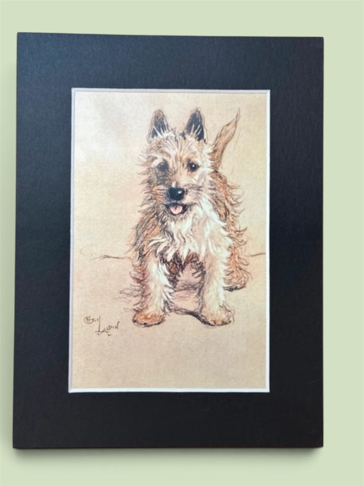 Cecil Aldin Reproduction Cairn Terrier Dog Print 8x6 Mounted