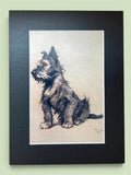 Cecil Aldin Reproduction Scottish Terrier Scottie Dog Print 8x6 Mounted