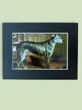 Cecil Aldin Reproduction Scottish Deerhound Dog Print 8x6 Mounted