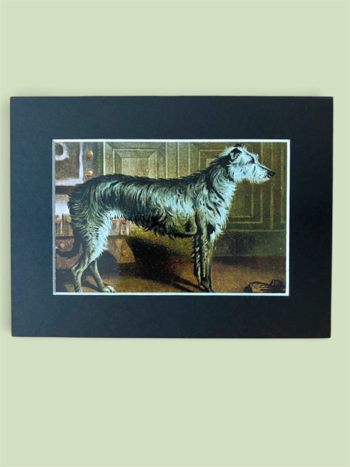 Cecil Aldin Reproduction Scottish Deerhound Dog Print 8x6 Mounted