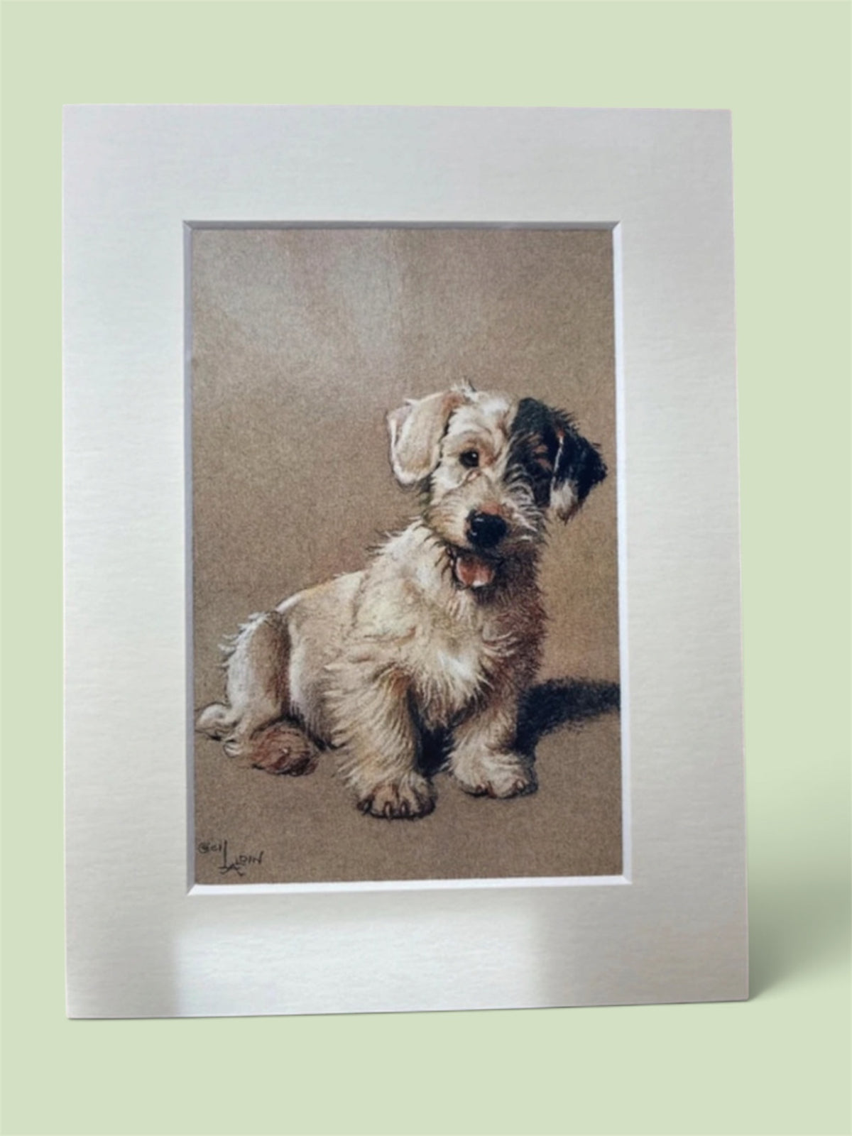 Cecil Aldin Reproduction Terrier Dog Print Sealyham Style 8x6 Mounted