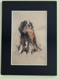 Cecil Aldin Reproduction Sporting Dog Print Spaniel with Game Bird 8x6 Mounted