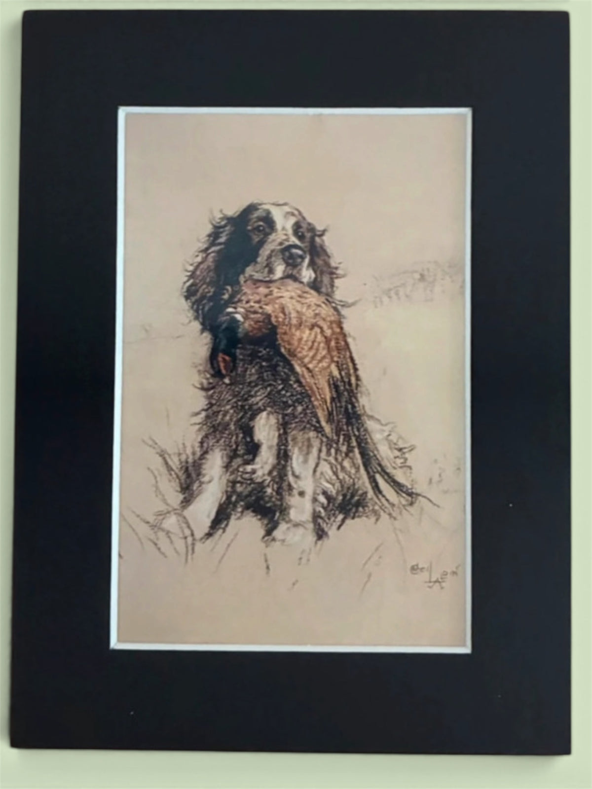 Cecil Aldin Reproduction Sporting Dog Print Spaniel with Game Bird 8x6 Mounted