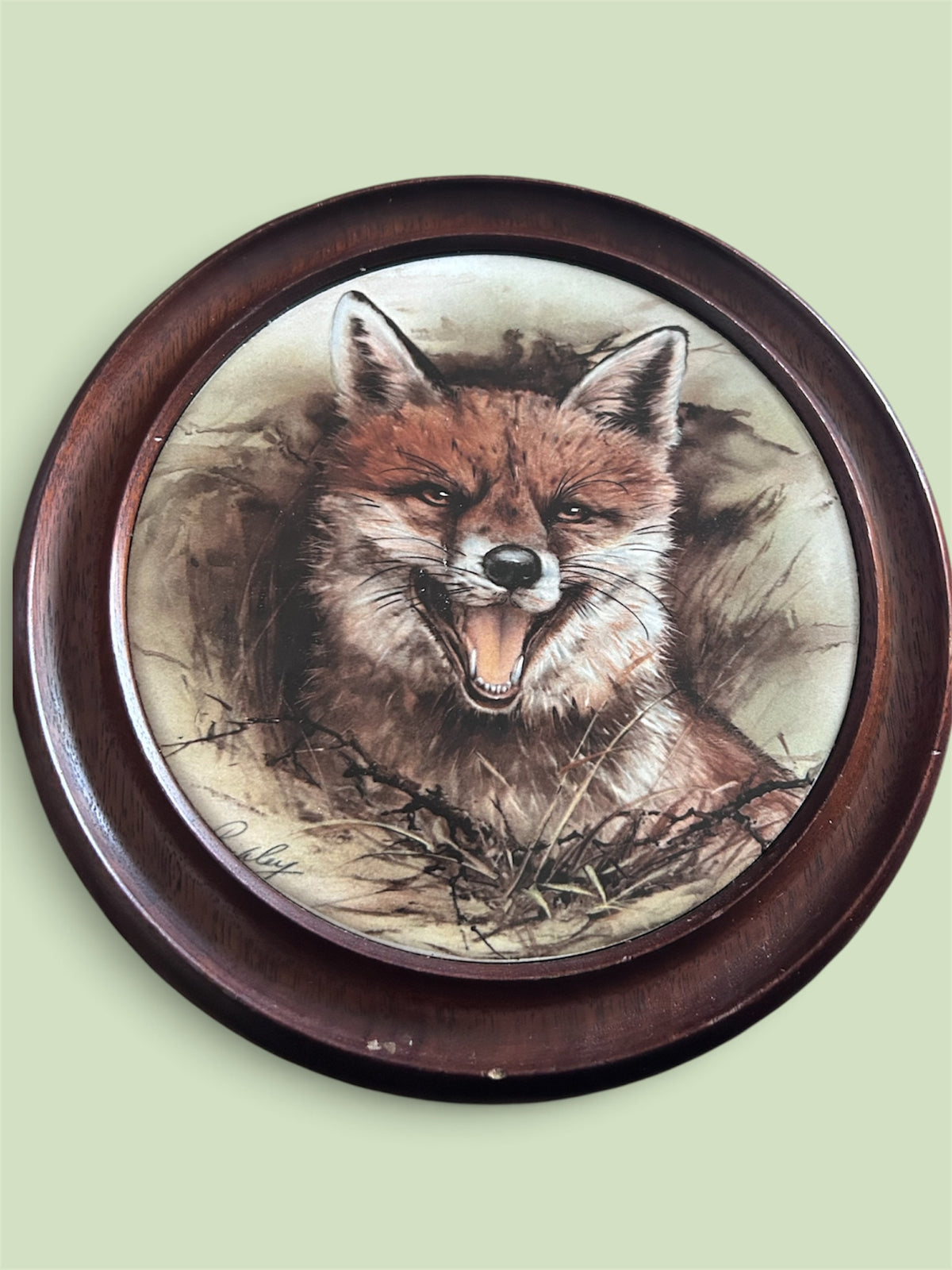 Vintage Fox Wildlife Decorative Wall Plate Framed Country Hunting Decor
