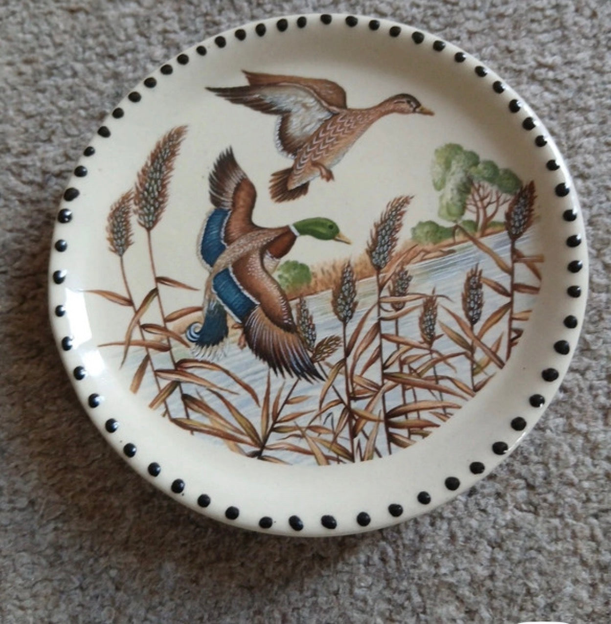 Vintage Duck Decorative Plate Mallard Wildfowl Country Cottage Wall Decor